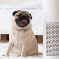 What are the Side Effects of a HEPA Air Purifier?