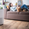 Discover the Best Air Filter For Allergies