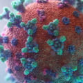 Do HEPA Filters Eliminate Coronavirus?