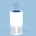Do Air Filters Stop Pollen? An Expert's Guide