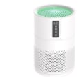 Are Allergy Air Filters Worth It?
