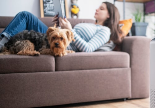 The Best Air Purifiers for Allergies: A Comprehensive Guide